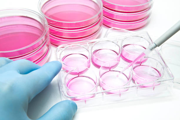 IVF & Cell Culture Media